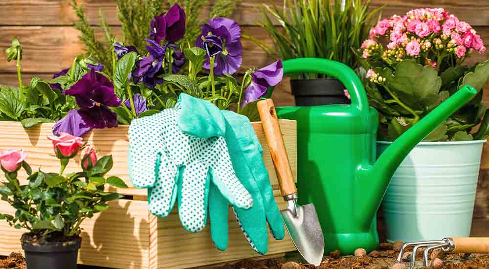 صورة لـ أفضل مواقع وتطبيقات البستنة للمبتدئين للعناية بالحديقة في أي مكان | essential-tools-for-DIY-landscaping-and-gardening-hero-image-DzTechs