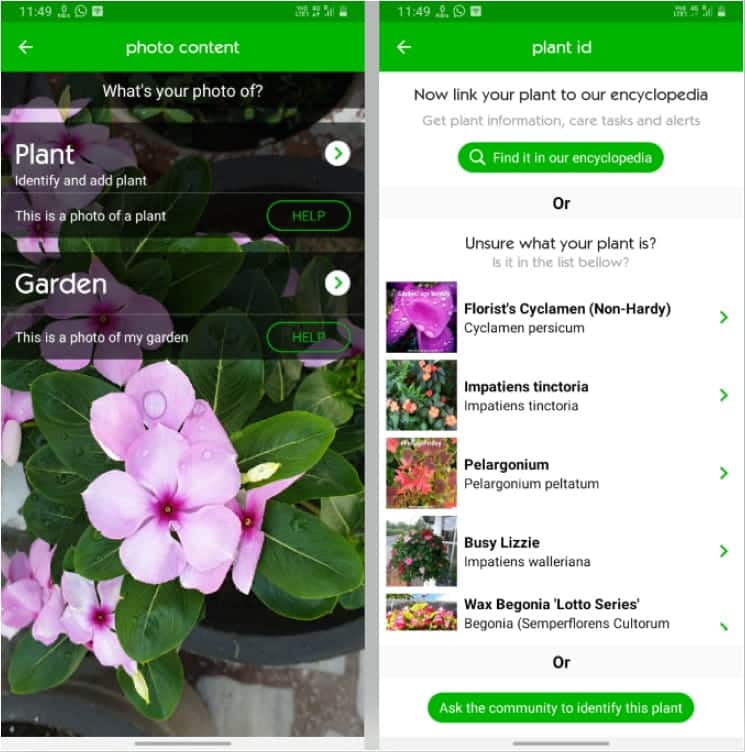 صورة لـ أفضل تطبيقات البستنة والزراعة لأجهزة Android و iOS | garden_tags-Hl7ivXfs-DzTechs