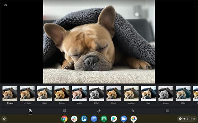 صورة لـ أفضل تطبيقات تعديل الصور لأجهزة Chromebook | google_photos_1-cqbipLfs-DzTechs