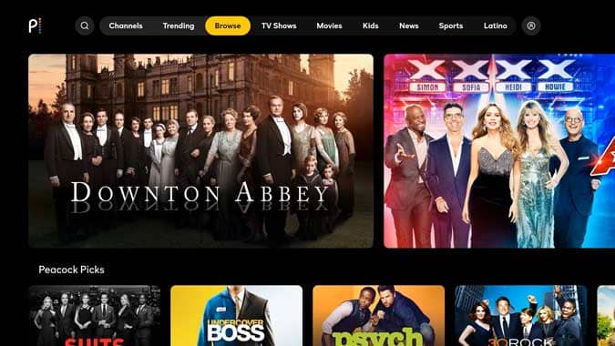 صورة لـ كيفية الوصول إلى Peacock TV على Firestick خارج الولايات المتحدة | 13-ZmQk1bgs-DzTechs
