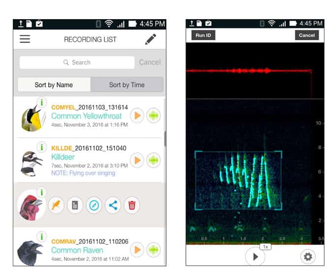 صورة لـ أفضل تطبيقات مراقبة الطيور لتعزيز مهاراتك (Android و iOS) | 3_5-7ZgKrbgs-DzTechs