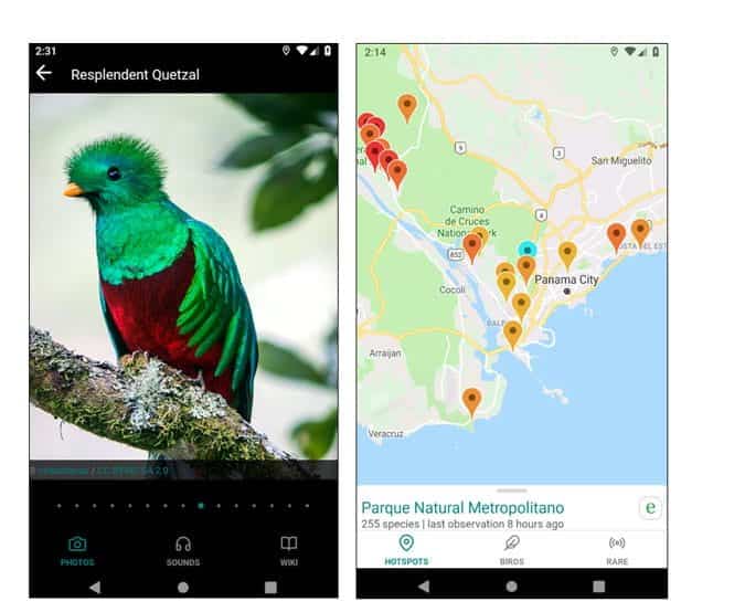 صورة لـ أفضل تطبيقات مراقبة الطيور لتعزيز مهاراتك (Android و iOS) | 4_6-yghKrbgs-DzTechs