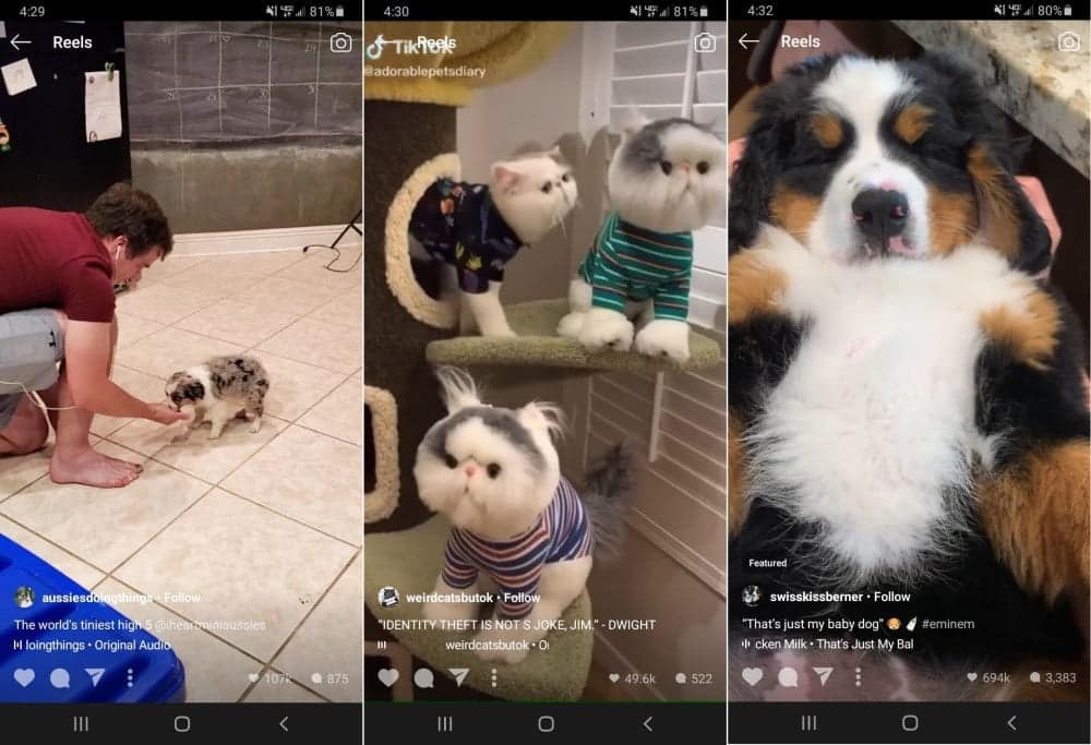 صورة لـ أفضل بدائل TikTok التي يجب عليك التحقق منها إذا كنت تأخذ خصوصيتك على محمل الجد | instagram-reels-video-1-min