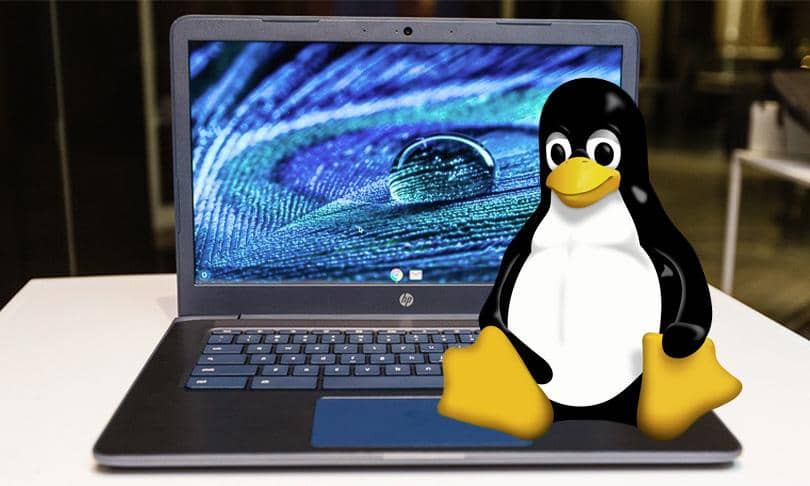 صورة لـ كيفية توسيع التخزين لنظام التشغيل Linux على جهاز Chromebook | 05iSzelTqDIgcymo4I3b2Oe_1.fit_lim.size_1200x630.v_1569492949-V9YtWbgs-DzTechs