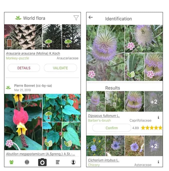 صورة لـ أفضل التطبيقات لمحبي الطبيعة لأجهزة iOS و Android | 13_1-mB9tRegs-DzTechs