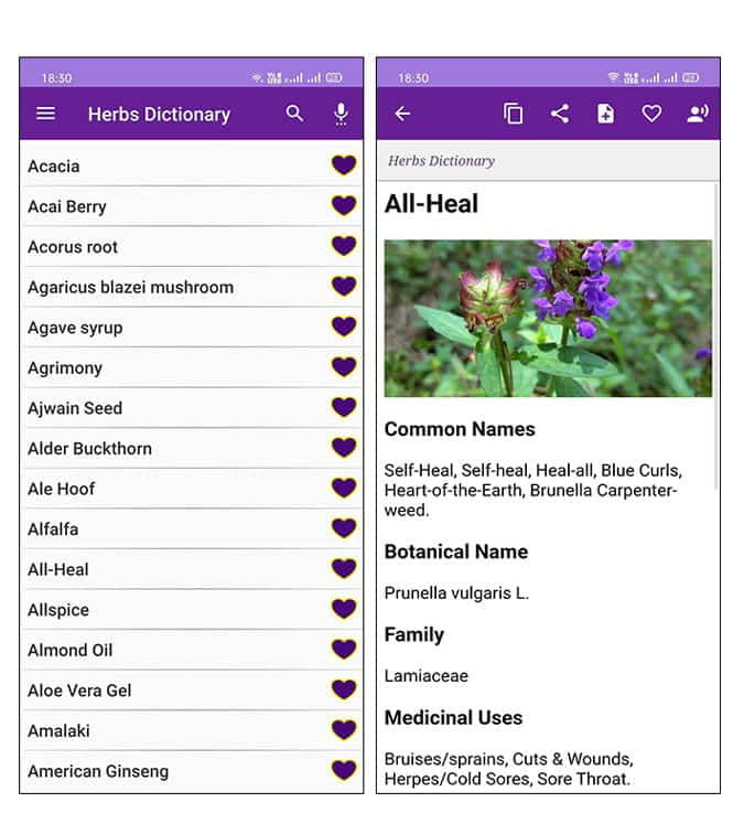 صورة لـ أفضل التطبيقات لمحبي الطبيعة لأجهزة iOS و Android | 14_1-Qy9tRegs-DzTechs