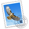 صورة لـ كيفية إضافة وإزالة حسابات البريد الإلكتروني على Mac | 6dba1b524965bcfe776bd8a49ffc646f-DzTechs