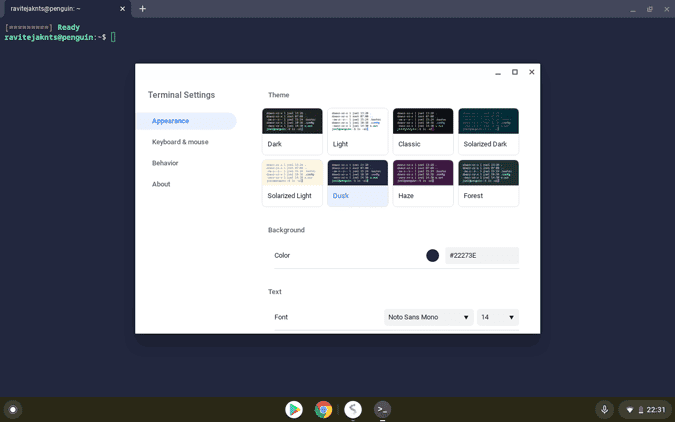 صورة لـ كيفية تخصيص Linux Terminal على Chromebook | apperance_terminal-dobDWcgs-DzTechs