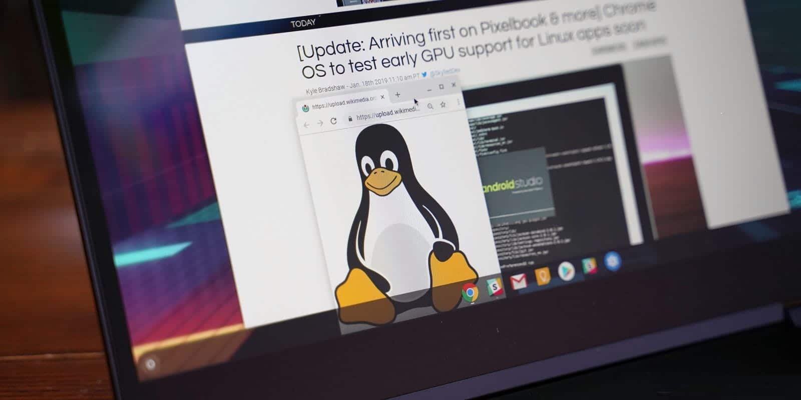 صورة لـ كيفية تخصيص Linux Terminal على Chromebook | chrome_os_linux_1-mrFHWcgs-DzTechs