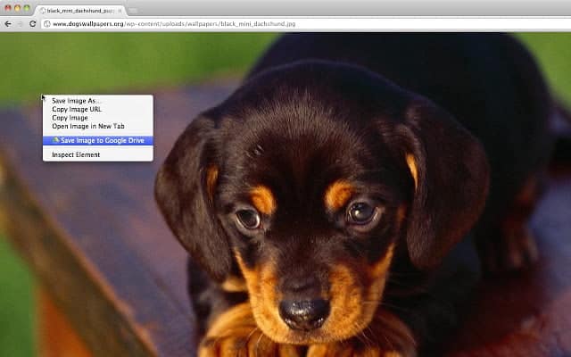 صورة لـ أفضل النصائح والحيل على Google Drive للمبتدئين والمحترفين | google-drive-tips-and-tricks-3-DzTechs