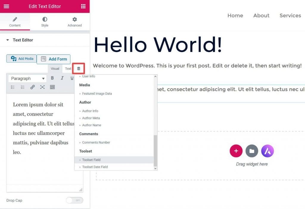 صورة لـ مراجعة Elementor Pro: هل هي أفضل إضافة مُنشئ الصفحات لـ WordPress؟ | elementor-review-6-1024x701-min-DzTechs