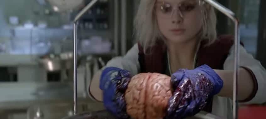 صورة لـ أفضل أفلام / مسلسلات الزومبي على Netflix لمُشاهدتها أثناء العزل الإجتماعي | zombie_movies_on_netflix_2-Z7rg2ggs-DzTechs