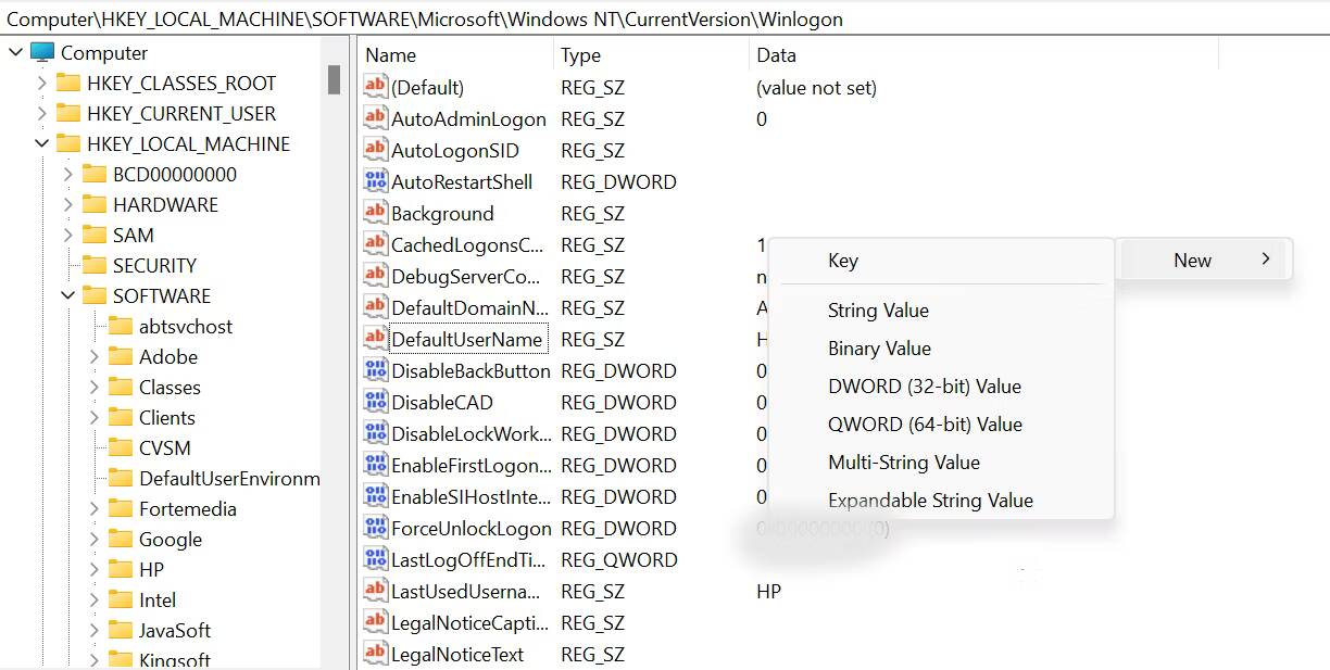 صورة لـ أفضل الطرق لتسجيل الدخول تلقائيًا إلى حساب المستخدم على Windows 10/11 | regedit-new-string
