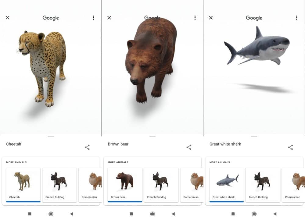 صورة لـ الحيوانات ثلاثية الأبعاد من Google: كيفية تحويل جهازك إلى حديقة سفاري افتراضية | 1oa9bI9KhgObhtijj_H_5yg-DzTechs