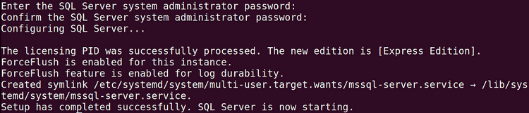 صورة لـ كيفية تثبيت وإعداد Microsoft SQL Server على Ubuntu | 1qF3FR73sIBpELf1hCguTXw-DzTechs