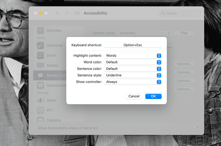 صورة لـ كيفية استخدام المحتوى المنطوق لجعل جهاز Mac يقرأ بصوت عالٍ لك | 1JL-V6JKTgvg4IYToadfgZg-DzTechs