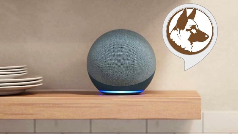 صورة لـ ماذا يفعل Alexa Guard وكيف يعمل؟ | 15pPu3LjIXboH6kTQdD-MpA-DzTechs