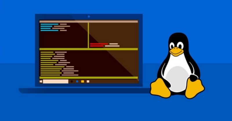 صورة لـ إيجابيات وسلبيات استخدام نظام Windows الفرعي لـ Linux | 1wGfmpDbx794v0Y8pN7R43A-DzTechs
