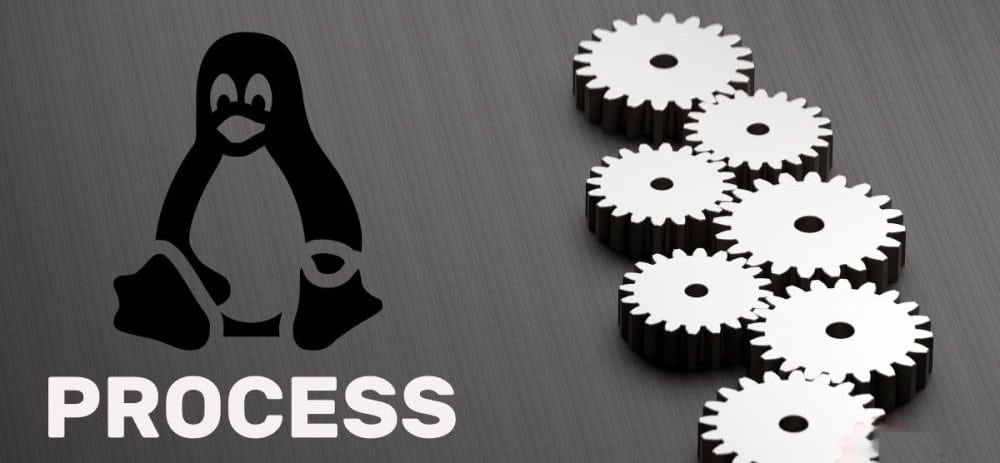 صورة لـ إدارة عمليات Linux: الدليل النهائي | 1idw1DPk8TFUYZ9cU0NWzcg-DzTechs