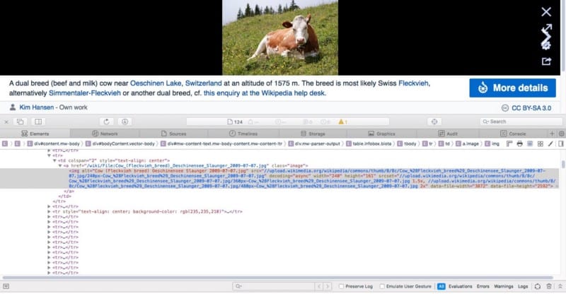 صورة لـ كيفية تعديل صفحات الويب على Safari باستخدام Inspect Element | 1XpYlfYeg7mJMheAvMwPRzA-DzTechs