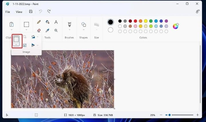 صورة لـ أفضل الطرق لضغط ملفات الصور في Windows 11 و 10 | 1CZs04u-GsZcB-7KIQBk49w-DzTechs