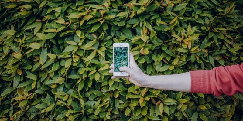 صورة لـ أفضل أفكار Instagram Stories لكل مُصور فوتوغرافي | 193_e0v2FDX5JZDcQ5y5CSQ-DzTechs