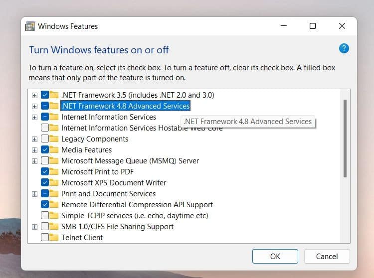 صورة لـ كيفية إصلاح رمز الخطأ 0x800F0950 عند تثبيت NET Framework v3.5 في Windows 11 | 1kdYekjxtcHnw4HgqIq4qtQ-DzTechs