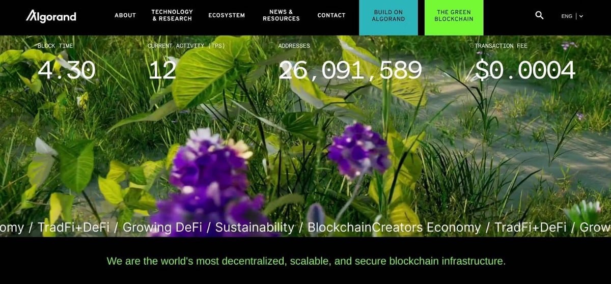 صورة لـ ما هي قاتلة Ethereum؟ مقارنة بين أفضل الخيارات | 19gJhlg15lrAr2iBmFSikeQ-DzTechs