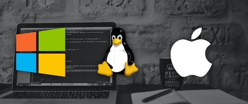 صورة لـ مقارنة بين Linux و Windows و بين macOS: ما هو نظام التشغيل المُناسب لك؟ | 1FEgxW1liyYijoy3REg5V7A-DzTechs