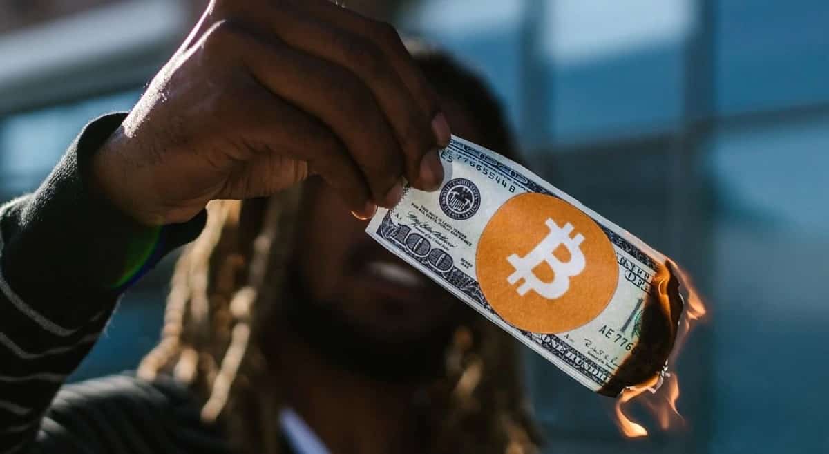 صورة لـ كيف يُؤثر حرق العملة المشفرة على سعرها؟ | 1lzntFYg9asLPWmXUdJ4OnQ-DzTechs