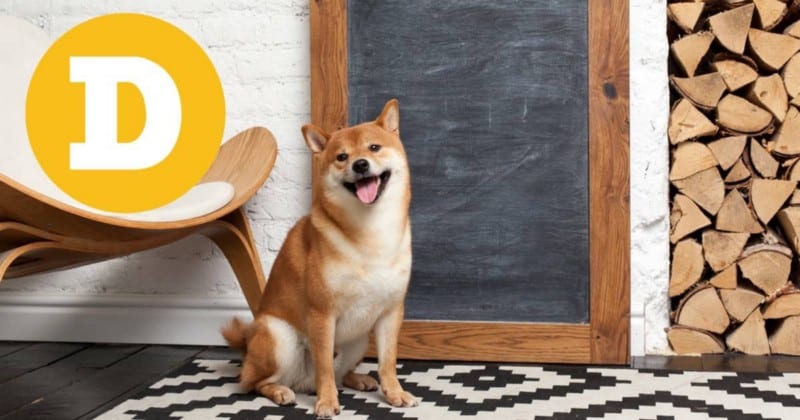 صورة لـ هل سيصل سعر Dogecoin إلى 1 دولار؟ هل يُمكن أن يذهب إلى أبعد من ذلك؟ | 1VXlbQLTA7a7Mqnd7kL185A-DzTechs
