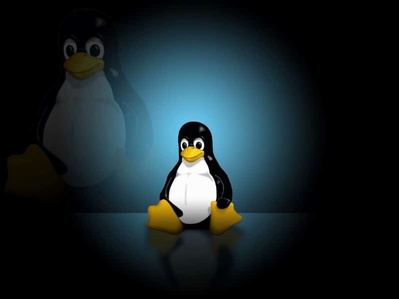 صورة لـ أفضل تطبيقات Linux لتنزيل الخلفيات وإدارتها | 1YROoVjcXCdpJWGtG58xgcA-DzTechs