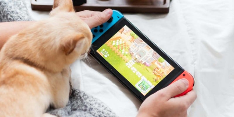 صورة لـ تطبيقات Nintendo Switch يجب على جميع المالكين تثبيتها | 1KvLgG_Xw87-nMLB5xoq_TA-DzTechs
