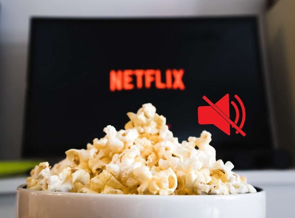 صورة لـ مشكلات الصوت التي قد تواجهها على Netflix (وكيفية إصلاحها) | 1BZSp85RArzt_TAtSPmmYPA-DzTechs