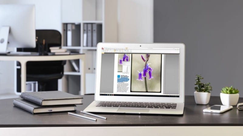 صورة لـ أدوات تعديل PDF المجانية عبر الإنترنت التي تُحافظ على خصوصية ملفاتك | 1sQuFU32nKI3CAlIaOP-iUw-DzTechs