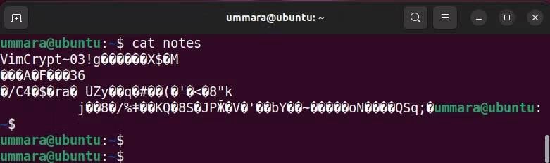 صورة لـ كيفية استخدام Vim لتشفير الملفات النصية على Linux | 1Si2k_qowUy2aKOG6GKhJxQ-DzTechs