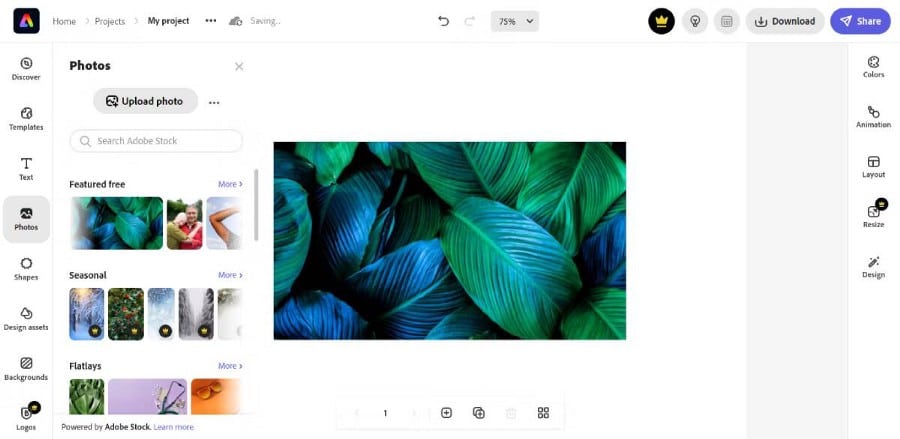 صورة لـ مقارنة بين Canva و Adobe Express: ما هو أفضل تطبيق مجاني لتصميم الجرافيك؟ | 1ZjoyJpps5Yd6Gq9NNiKeFQ-DzTechs