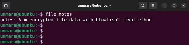 صورة لـ كيفية استخدام Vim لتشفير الملفات النصية على Linux | 1_3zjtQ5QIudciymrBnch7g-DzTechs