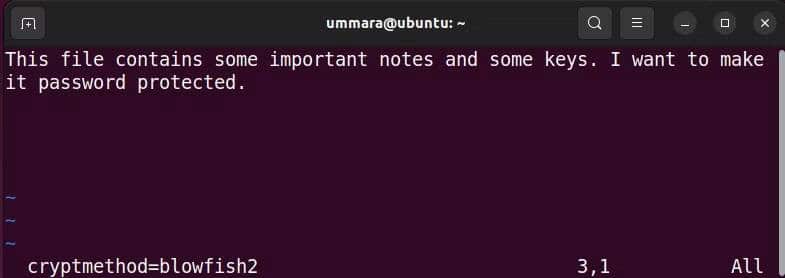 صورة لـ كيفية استخدام Vim لتشفير الملفات النصية على Linux | 1eMUjcvmjBAS0ULebmxZREQ-DzTechs
