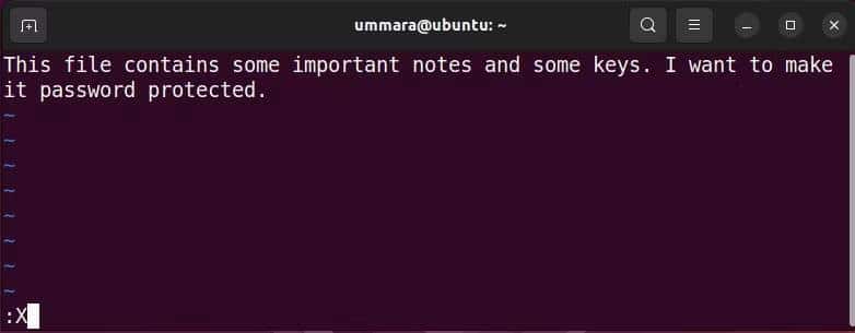 صورة لـ كيفية استخدام Vim لتشفير الملفات النصية على Linux | 1oKhd1aXdkUTOaT32d3mYNQ-DzTechs