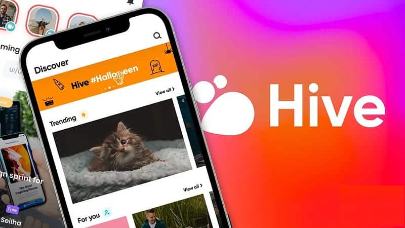 صورة لـ ما هو Hive Social؟ بديل Twitter الذي يجب أن تُجربه | 1VLqFd8QPKpXQfS2H_ReBtA-DzTechs