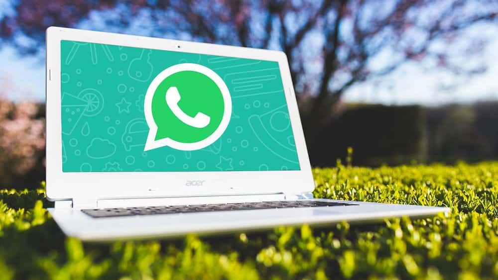 صورة لـ WhatsApp Web لا يعمل في Google Chrome؟ جرِّب هذه الإصلاحات | 1fdAIu4gEWH20yqNCq_8P1w-DzTechs