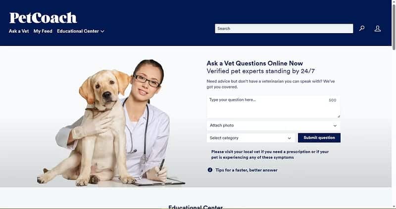 صورة لـ أفضل مواقع الويب والتطبيقات للعثور على طبيب بيطري افتراضي أو شخصي بالقرب منك | 1AvAuNtbwOs_cU-BLj4Ib3g-DzTechs