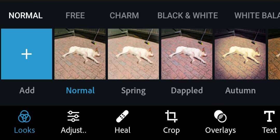 صورة لـ كيفية قلب أي صورة على Android باستخدام خيارات مُختلفة | 1REgKu_9qSXsGQRW2_njCyg-DzTechs