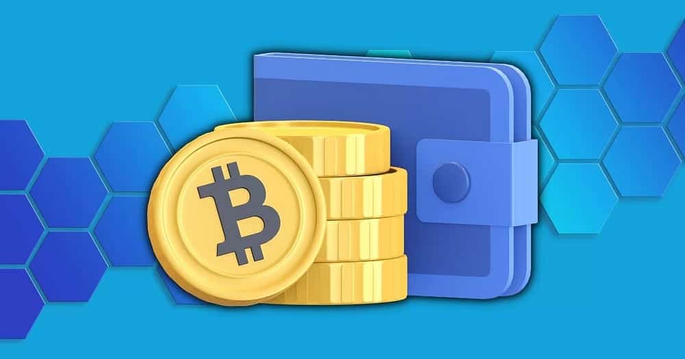 صورة لـ أفضل المحافظ الرقمية المُتوافقة مع Bitcoin Ordinals | 1wbgOHgsKoGfyMxpm1110Hw-DzTechs