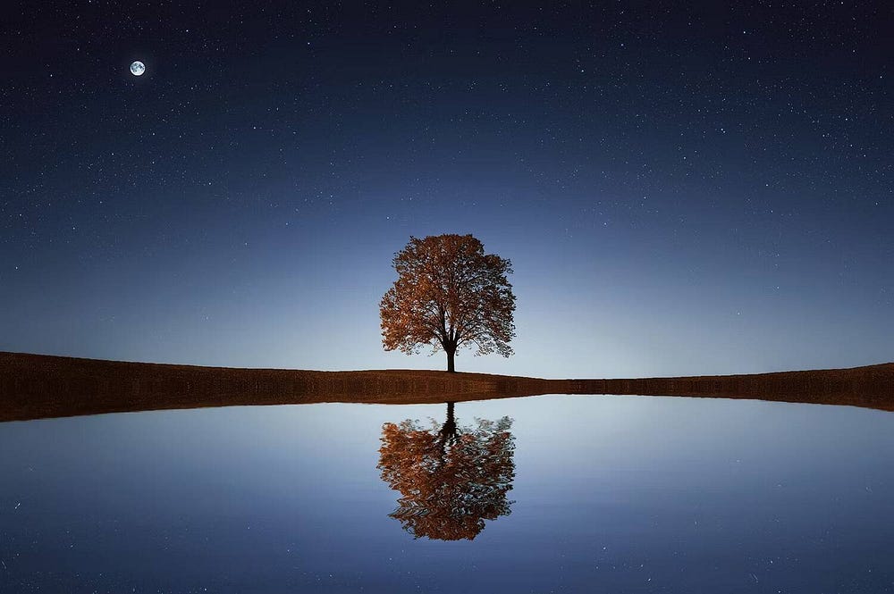 صورة لـ ما هو التصوير الانعكاسي؟ وكيفية الحصول على أفضل النتائج | 18trdqNNIXbvjJbI2PnwK9Q-DzTechs