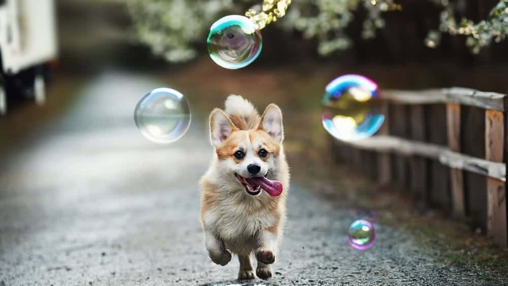 صورة لـ كيفية إصلاح الحواف الخشنة والهالات باستخدام Generative Fill في Photoshop | 1_1qU1f7qPXps5941vt5Tz0lw-DzTechs
