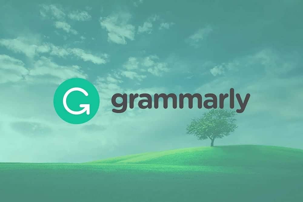 صورة لـ كيفية إصلاح عدم عمل Grammarly على Windows | 1yxc0psNwlcA7sqXlRS6YZg-DzTechs