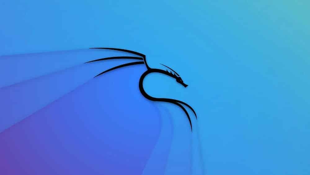 صورة لـ كيفية إصلاح خطأ “عدم تطابق مجموع التجزئة” عند تحديث Kali Linux | 1DHGAZqX-Sjg37DulGZ4k3w-DzTechs