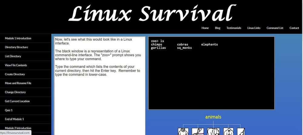 صورة لـ ألعاب ومواقع إلكترونية مجانية لإتقان التعامل مع Linux وسطر الأوامر | 1bVNtuQJTF1AUskprOSKC_g-DzTechs